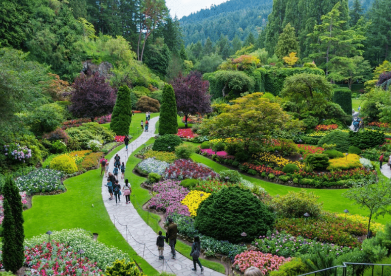 Patel Park, Ranchi, Jharkhand - Vushii.com